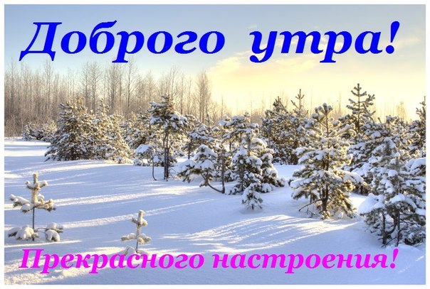 http://cs305906.vkontakte.ru/u50404307/-14/x_8d66f5c1.jpg